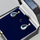 Aquamarine and Diamond Platinum Bezel Set Drop Earrings (7.0cts)