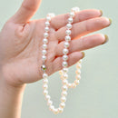 9ct 白金扣环 Akoya 珍珠项链（6-6.5 毫米）