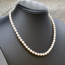 9ct 白金扣环 Akoya 珍珠项链（6-6.5 毫米）