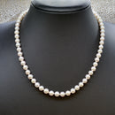 9ct 白金扣环 Akoya 珍珠项链（6-6.5 毫米）