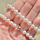 9ct 白金扣环 Akoya 珍珠项链（6-6.5 毫米）