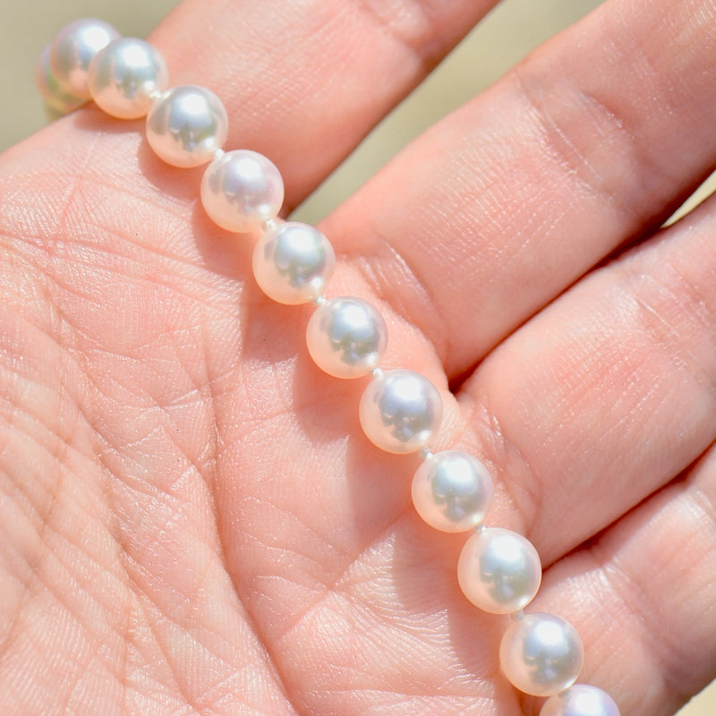 9ct 白金扣环 Akoya 珍珠项链（6-6.5 毫米）