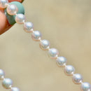 9ct 白金扣环 Akoya 珍珠项链（6-6.5 毫米）