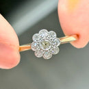 Edwardian Diamond Daisy Cluster Ring in 18ct Yellow Gold & Platinum