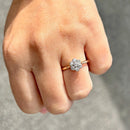 Edwardian 18ct Yellow Gold & Platinum Old-Cut Diamond Daisy Cluster Ring