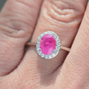 RHAPSODY Ruby and Diamond (VS/E-F) Platinum Halo Ring (1.75cts)