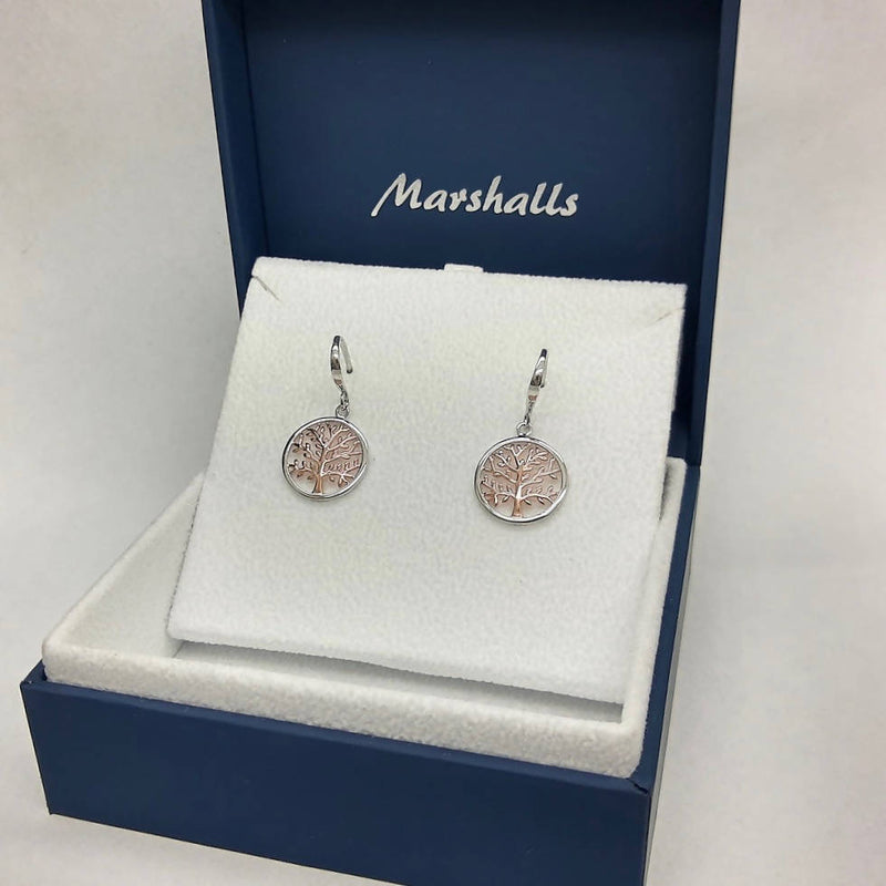 tree of life drop silver rose gold earrings in presentation box
